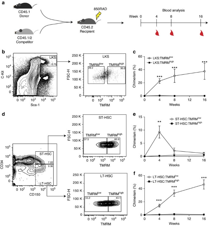 figure1