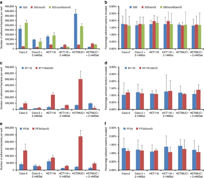 Figure 3: Adhesion and invasion analysis.