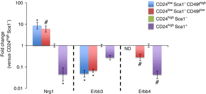 Figure 2: Nrg1 and ErbB are expressed in distinct mammary cell populations.