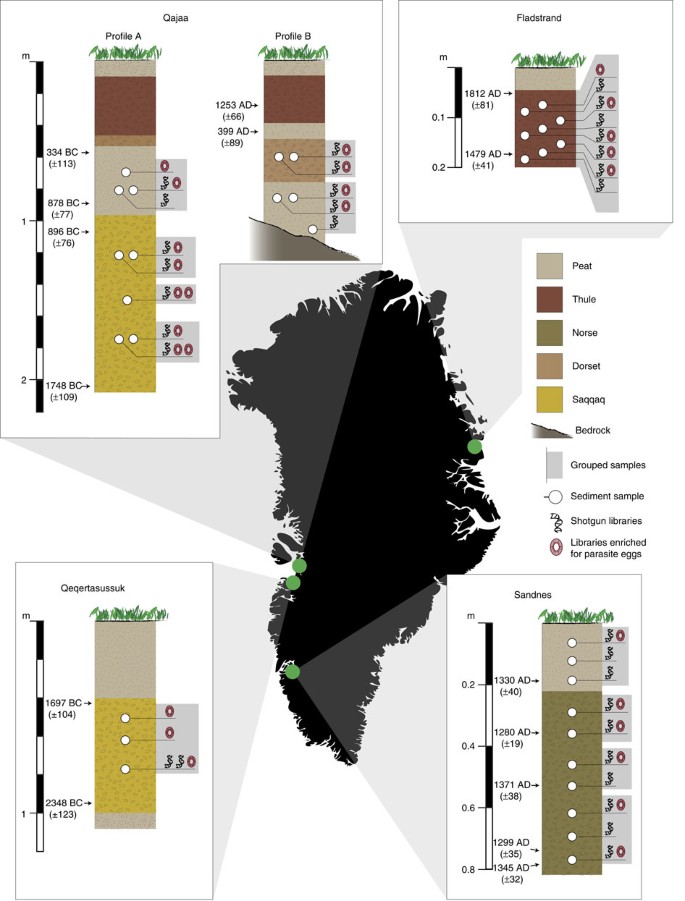 dna evidence of bowhead whale