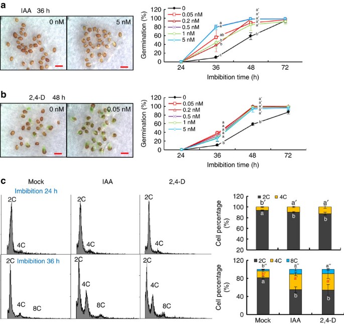 Arabidopsis Seed Germination Speed Is Controlled By Snl Histone Deacetylase Binding Factor Mediated Regulation Of Aux1 Nature Communications