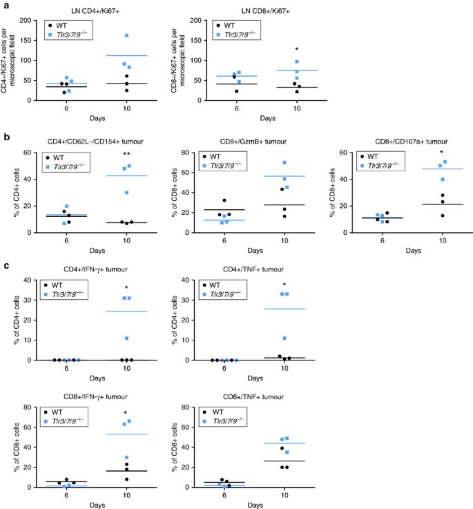 Figure 5: T-cell activation in lymph nodes and tumour.
