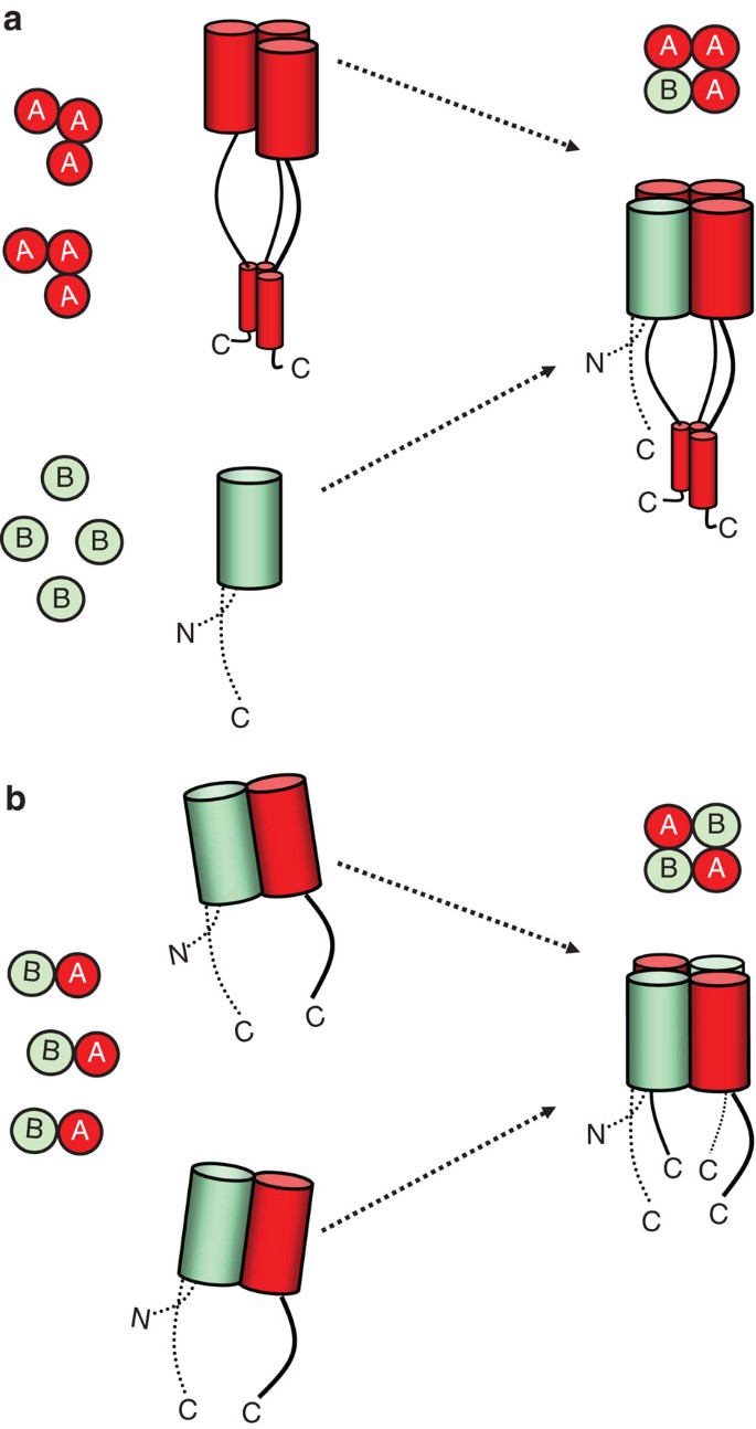 figure 8