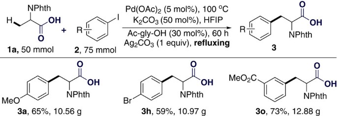 Pd Catalysed Ligand Enabled Carboxylate Directed Highly Regioselective Arylation Of Aliphatic Acids Nature Communications