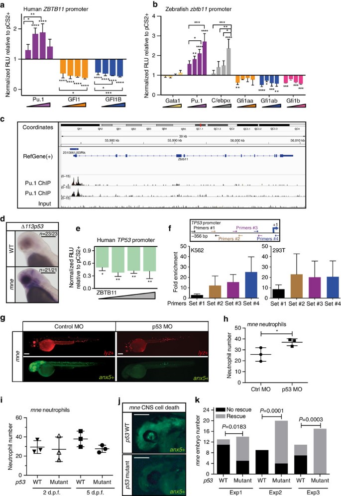 PDF) ZBTB12 DNA methylation is associated with coagulation- and