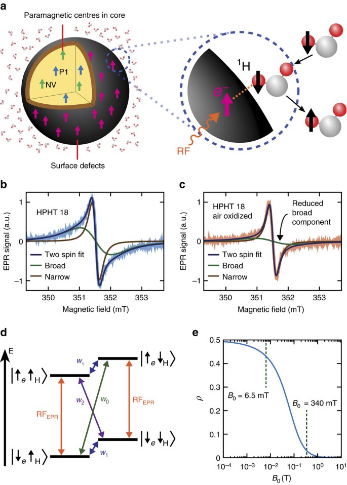 Nanodiamond Enhanced Mri Via In Situ Hyperpolarization Nature Communications