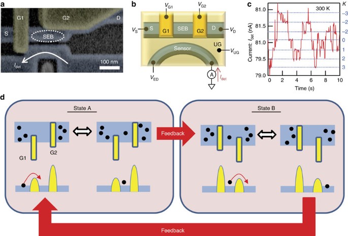 Power generator driven by Maxwell's demon | Nature Communications