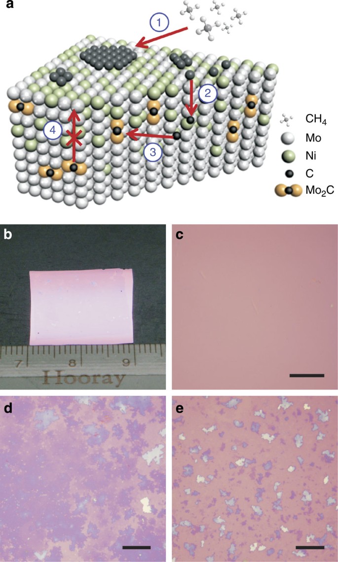 Rational Design Of A Binary Metal Alloy For Chemical Vapour Deposition Growth Of Uniform Single Layer Graphene Nature Communications