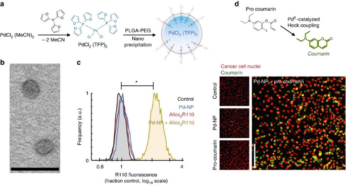 Nano-palladium is a cellular catalyst for in vivo chemistry | Nature  Communications