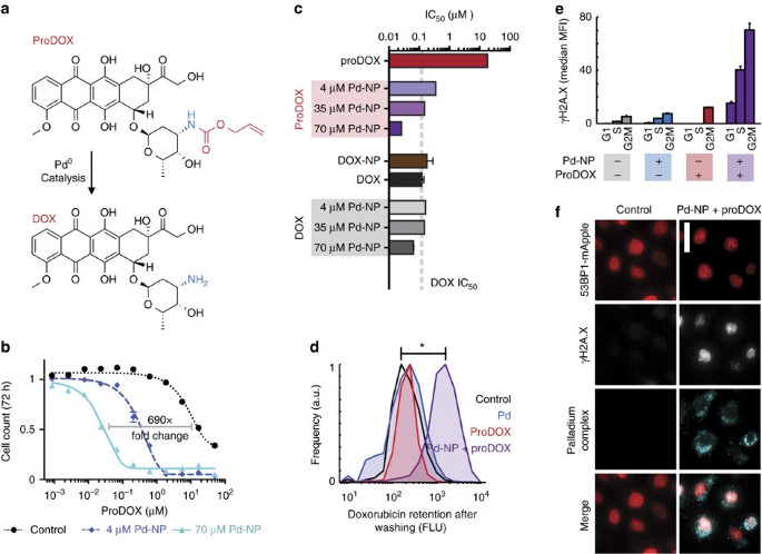 Nano-palladium is a cellular catalyst for in vivo chemistry | Nature  Communications