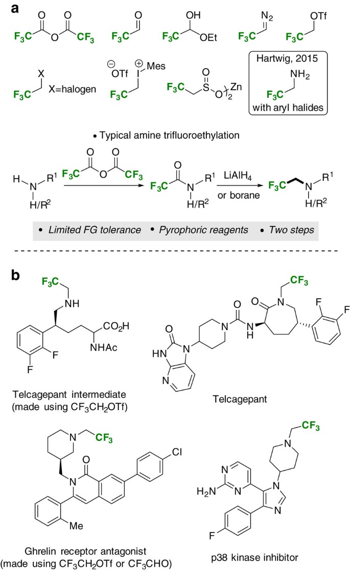 amines uses