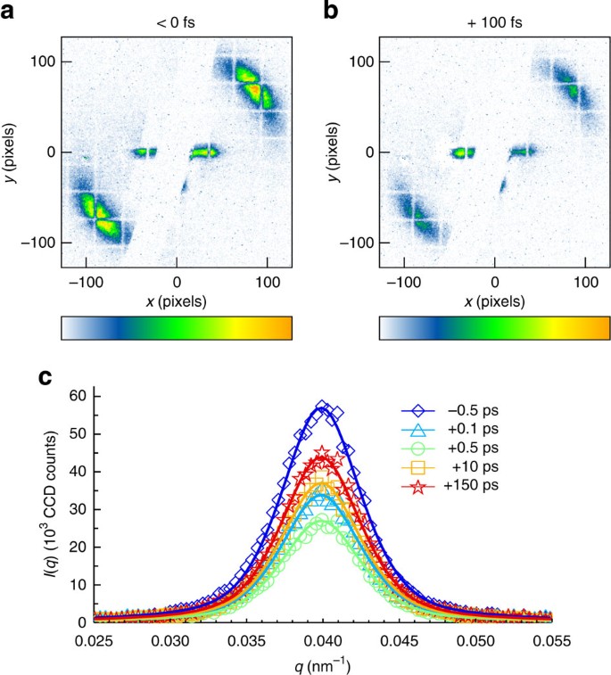 Laser-induced ultrafast demagnetization in the presence of a nanoscale magnetic  domain network | Nature Communications