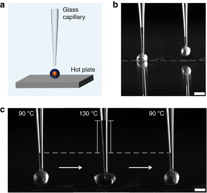 One Piece Micropumps From Liquid Crystalline Core Shell Particles Nature Communications