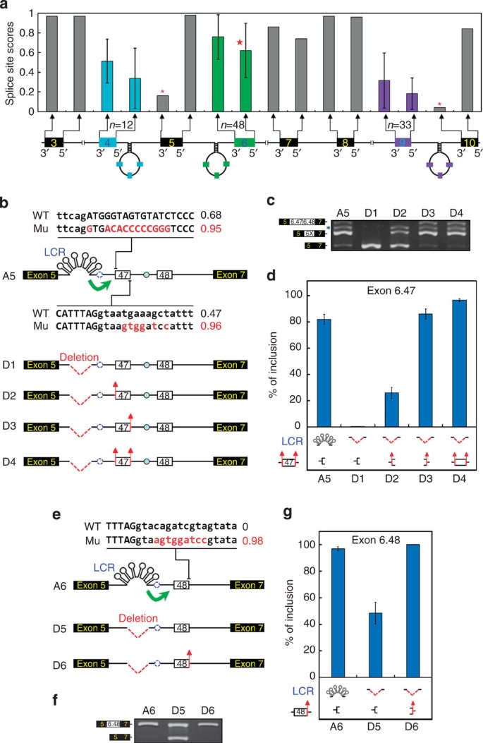 figure 6