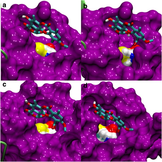 elk boksen Omringd Computational identification of a transiently open L1/S3 pocket for  reactivation of mutant p53 | Nature Communications