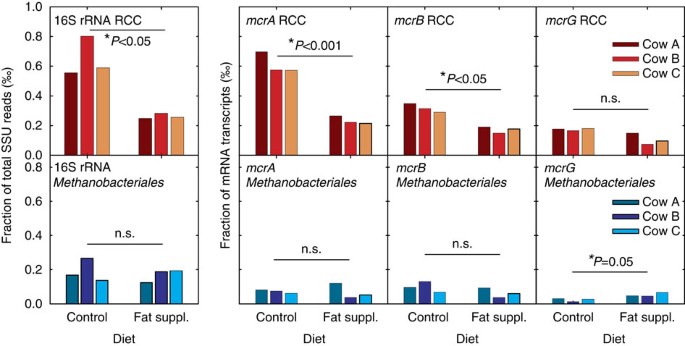 Figure 1: Effect of RSO on methanogens in vivo.
