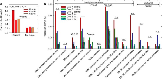 Figure 3: Transcripts of methanogenesis from methylamines.