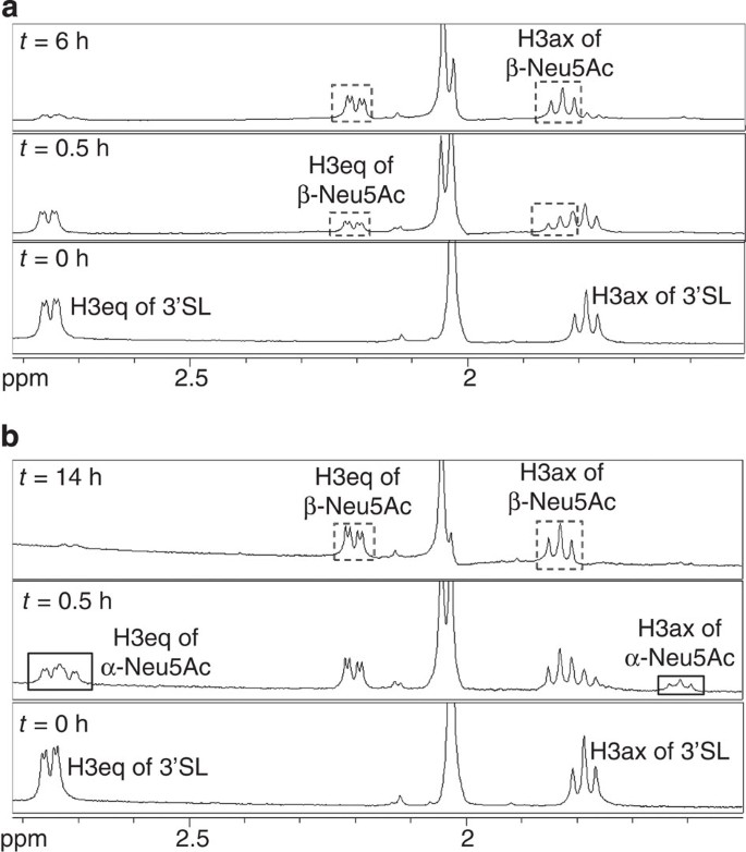 Figure 1: Conserved Tyr406 is the key catalytic residue of influenza neuraminidase.