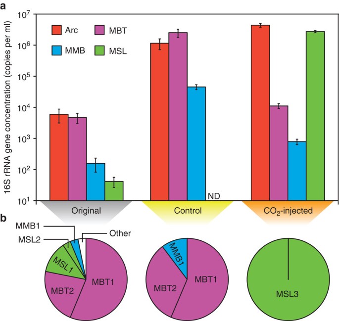 Carbon dioxide concentration dictates alternative methanogenic pathways in  oil reservoirs | Nature Communications