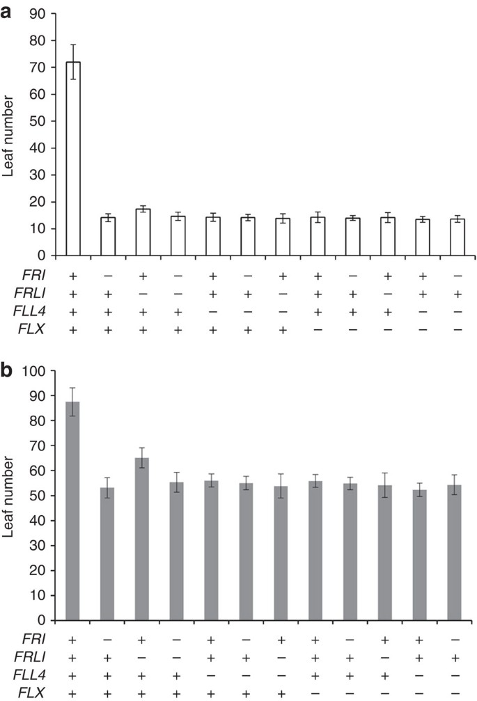 Figure 5: Flowering phenotype of double and triple mutants.