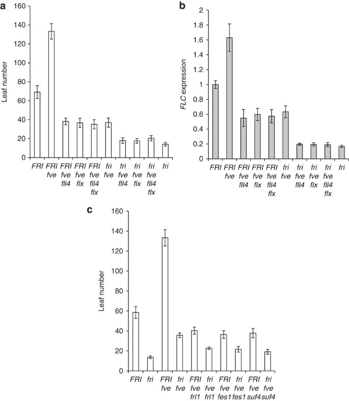 Figure 7: Effect of loss of various FRI complex components in the fve background.