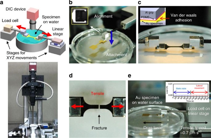 Tensile testing of ultra-thin films on water surface | Nature Communications