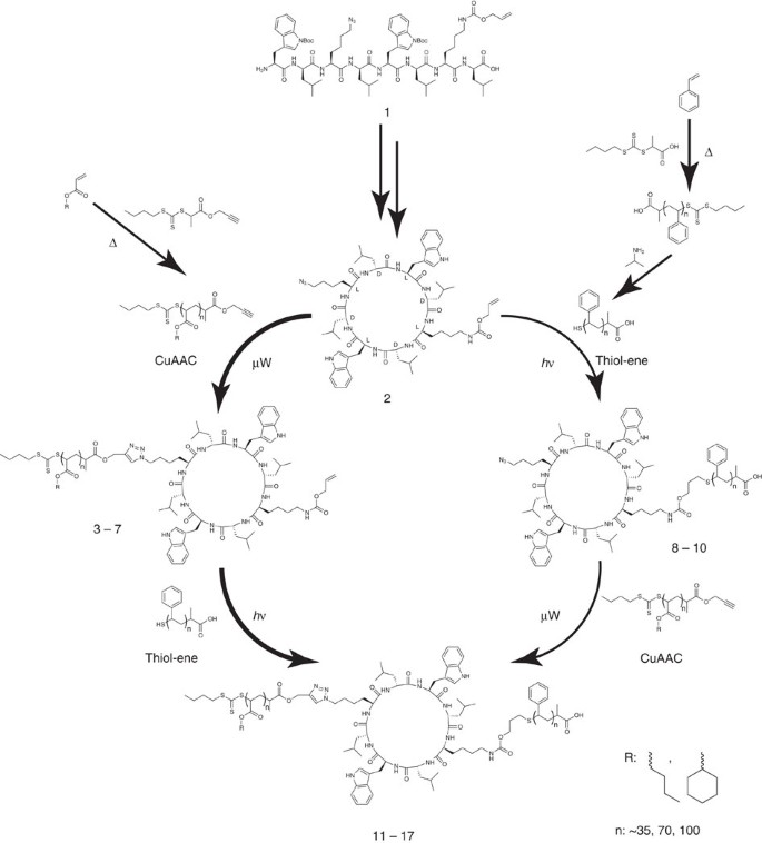 Figure 2: Synthetic pathways for the production of hybrid CP–polymer conjugates.