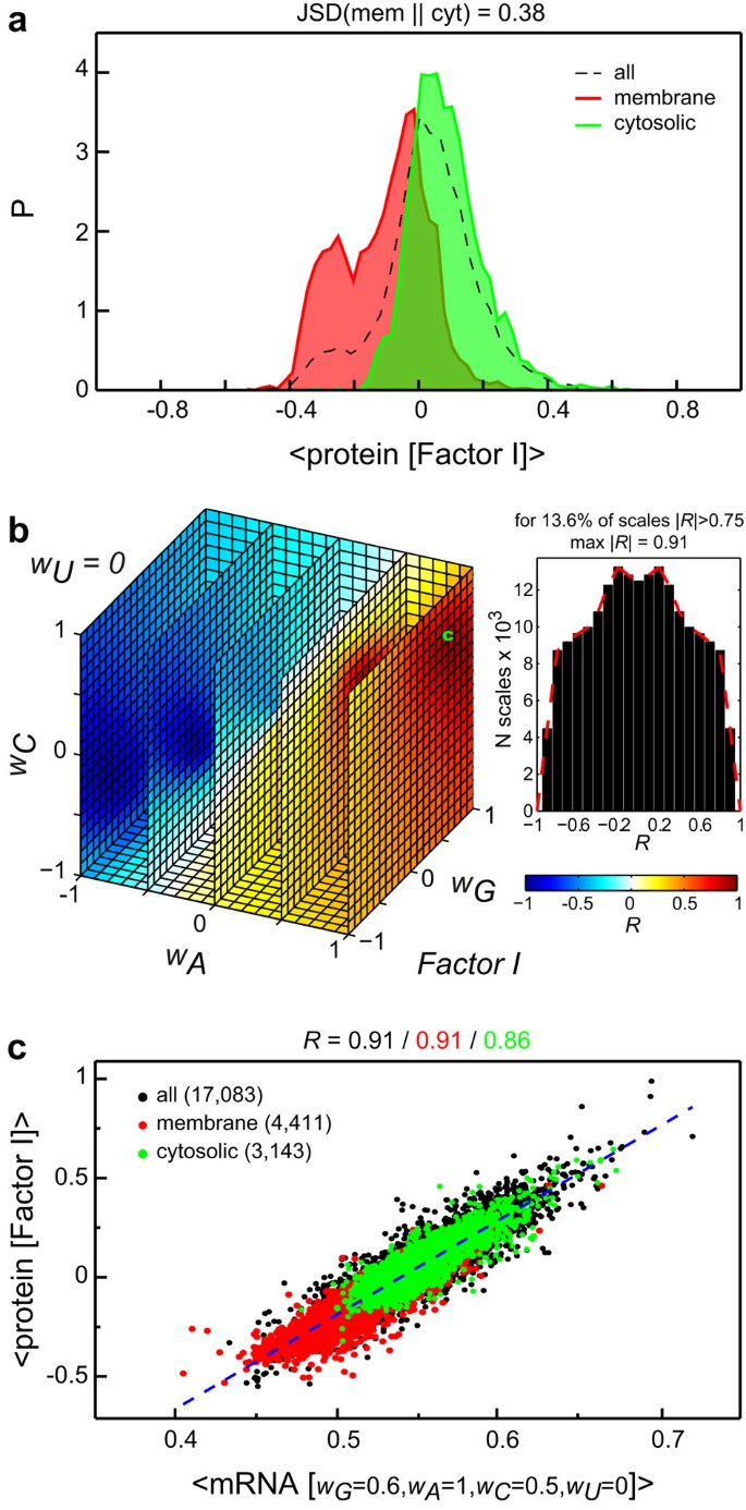Figure 1: Encoding of average sequence hydrophobicity of proteins in average properties of their cognate mRNA coding sequences.