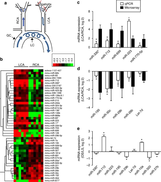 PDF) Abstract A74: Microparticles mediate cross-talk between tumoral and  endothelial cells and promote the constitution of an angiocrine  pro-metastatic niche through Arf6 up regulation