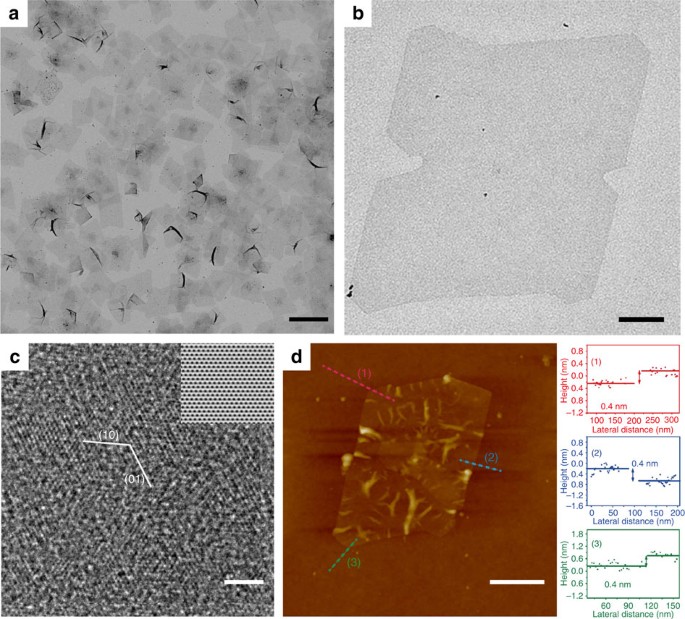 Figure 1: Characterization of ultrathin Rh NSs.