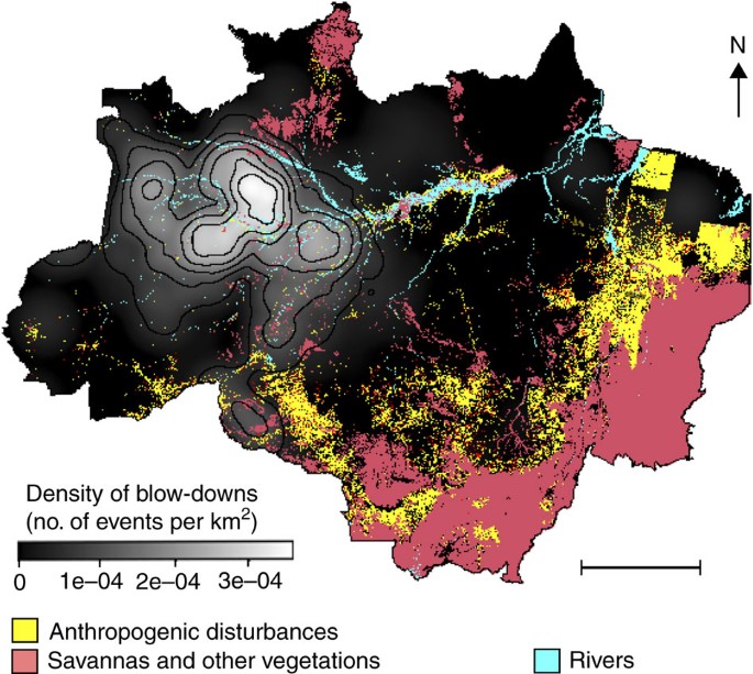 Size and frequency of natural forest disturbances and the Amazon forest  carbon balance | Nature Communications
