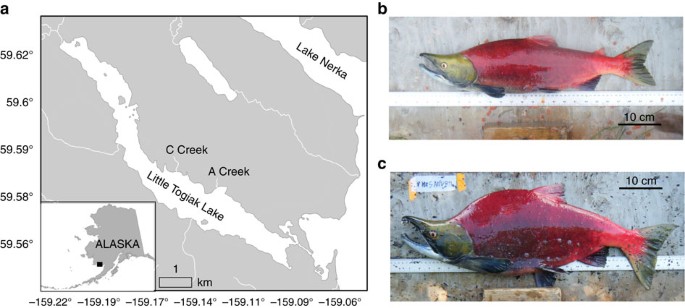 Figure 1: Study sites and populations.