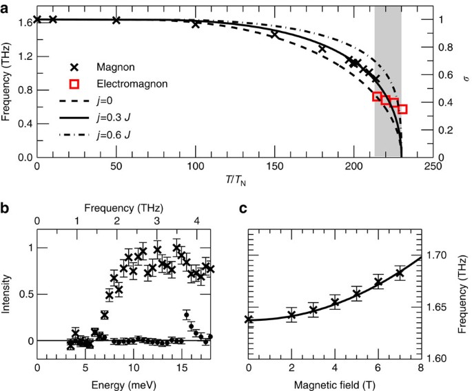 High Temperature Electromagnons In The Magnetically Induced Multiferroic Cupric Oxide Driven By Intersublattice Exchange Nature Communications