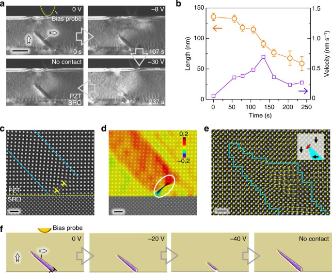 Figure 2: Partial ferroelastic domain switching by electric fields.