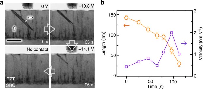 Figure 3: Erasure of a partial ferroelastic domain by electric fields.