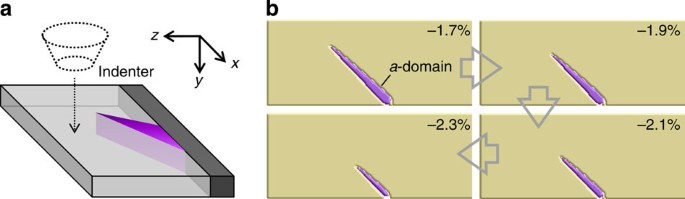 Figure 5: Simulated response of clamped ferroelastic domain to applied strain along the zone axis.