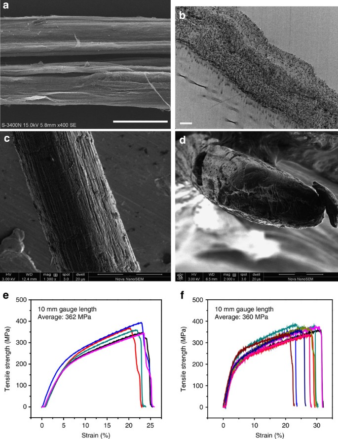 High-strength carbon nanotube fibre-like ribbon with high ductility and  high electrical conductivity | Nature Communications