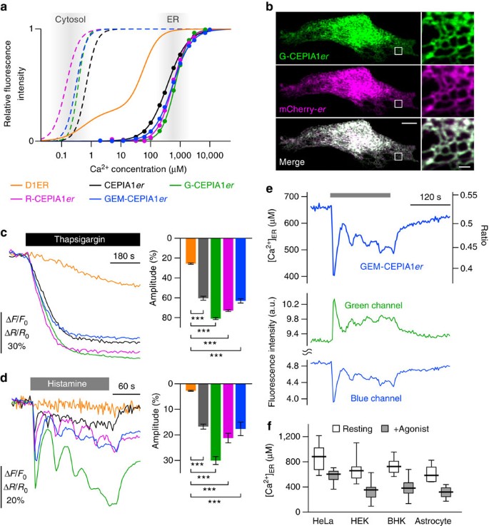 Imaging Intraorganellar Ca 2 At Subcellular Resolution Using Cepia Nature Communications