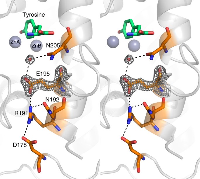 Figure 4: Structure-supported deprotonation scenario.