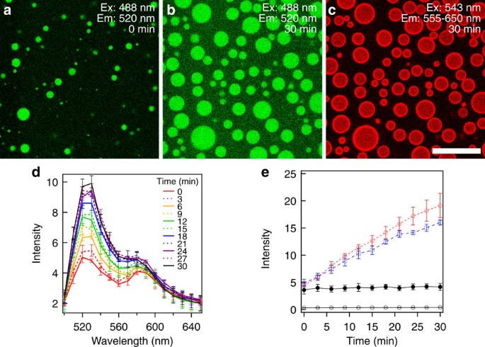 Figure 6: The liposome-stabilized ATPS emulsion can be used as an RNA cleavage microreactor.