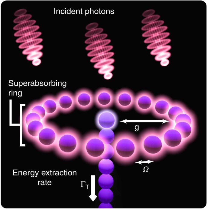 Superabsorption Of Light Via Quantum Engineering Nature Communications