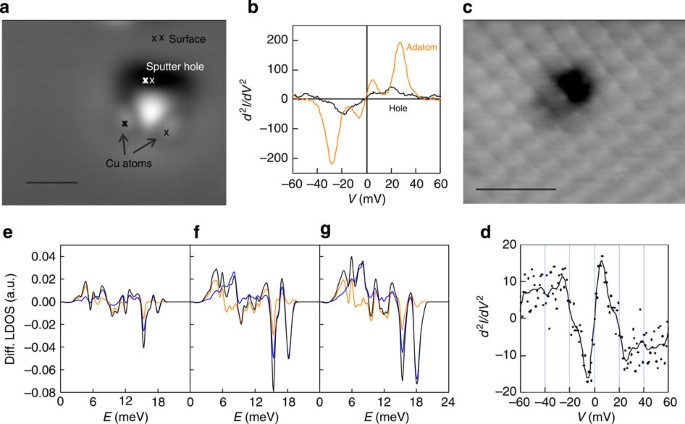 Local Determination Of The Amount Of Integration Of An Atom Into A Crystal Surface Nature Communications
