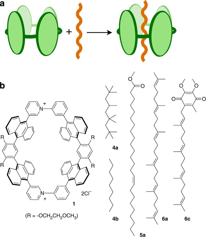 A Polyaromatic Molecular Tube That Binds Long Hydrocarbons With High Selectivity Nature Communications A Polyaromatic Molecular Tube That Binds Long Hydrocarbons With High Selectivity Nature Communications