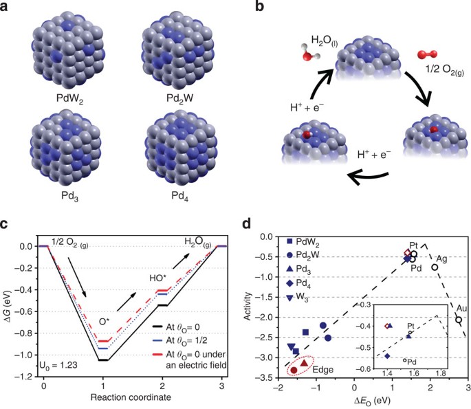 Small palladium islands embedded in palladium–tungsten bimetallic  nanoparticles form catalytic hotspots for oxygen reduction | Nature  Communications