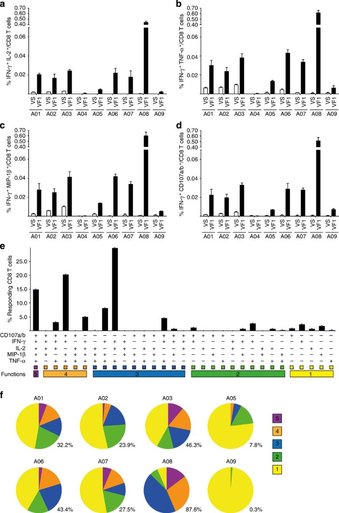 Figure 5: GX-188E vaccination induced the polyfunctionality of HPV16-specific CD8 T cells.