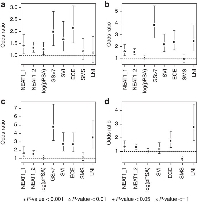 The oestrogen receptor alpha-regulated lncRNA NEAT1 is a critical 