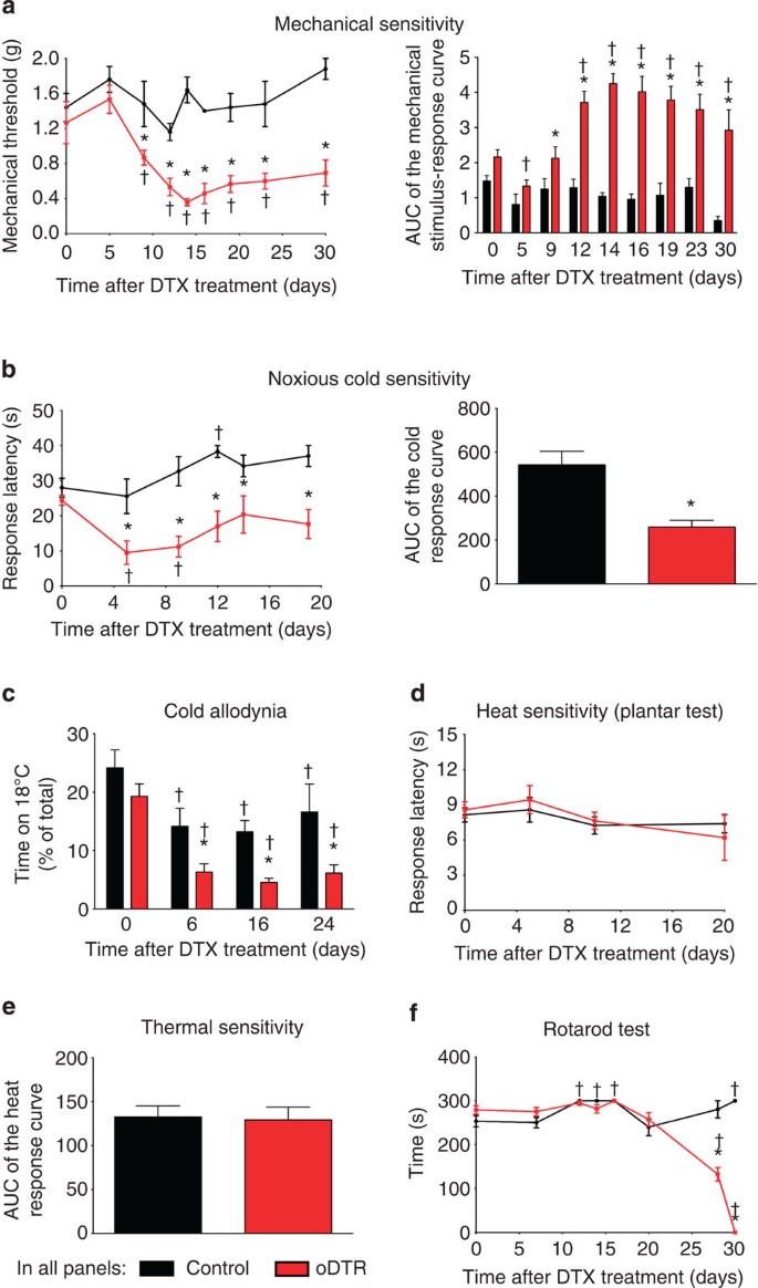 Figure 2: Overview of sensory dysfunction induced by oligodendrocyte ablation in genetically targeted mice following diphtheria toxin (DTX) treatment.