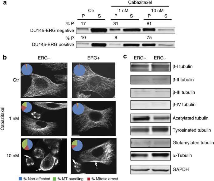 ERG induces taxane resistance in castration