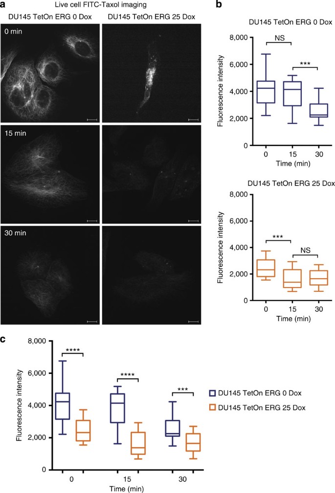 ERG induces taxane resistance in castration