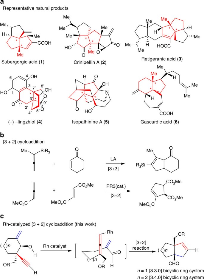 Asymmetric Total Synthesis Of Lingzhiol Via A Rh Catalysed 3 2 Cycloaddition Nature Communications